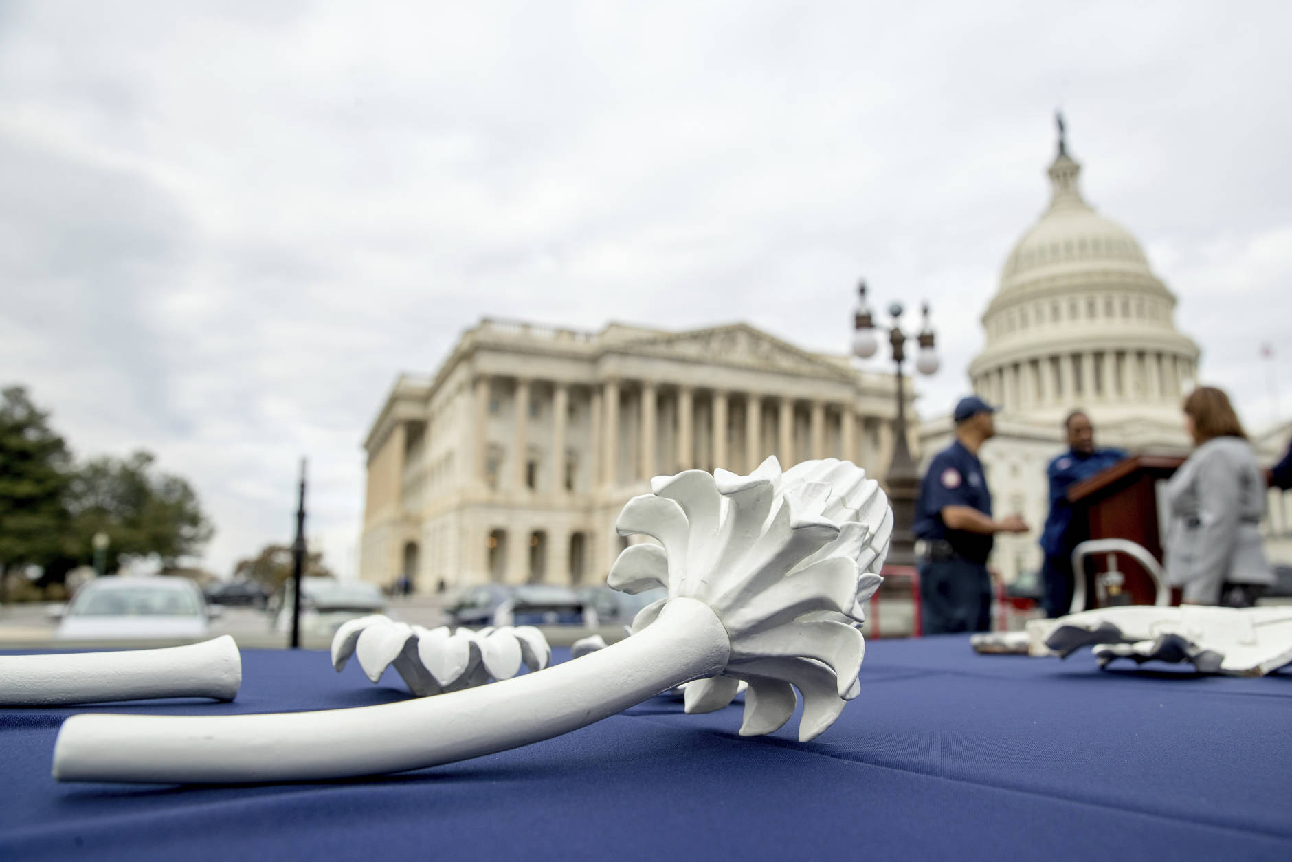 Iron pieces are displayed at a news conference on Capitol Hill in Washington, Tuesday, Nov. 15, 2016, to announce the successful completion of the U.S. Capitol Dome Restoration Project. (AP Photo/Andrew Harnik)