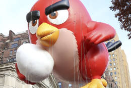 The Angry Birds balloon floats in the 90th Annual Macy's Thanksgiving Day Parade on Thursday, Nov. 24, 2016, in New York. (Photo by Greg Allen/Invision/AP)