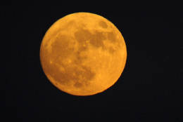 The moon rises over the San Gabriel Valley, as seen from Rosemead, Calif., Sunday, Nov. 13, 2016. Monday morning's supermoon will be the closet a full moon has been to the Earth since Jan. 26, 1948. (AP Photo/Nick Ut)