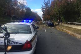 A large branch struck a vehicle on Tuckerman Lane, between Rockville Pike and Old Georgetown Road, in Montgomery County, Md. on Sunday, Nov. 20, 2016. Emergency responders said no one was injured. (Courtesy of MCFRS/Pete Piringer via Twitter)