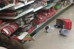 Several items were knocked off shelves, but no serious damage was done.