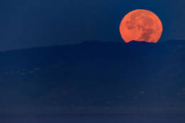 VENICE BEACH, CA - NOVEMBER 14: The moon sets during its closest orbit to the Earth since 1948 on November 14, 2016 in Venice Beach, California. The so-called Supermoon appears up to 14 percent bigger and 30 percent brighter as it comes about 22,000 miles closer to the Earth than average, though to the casual observer, the increase appears slight.  (Photo by Christopher Polk/Getty Images)