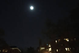 View of the supermoon from the Cathedral Heights neighborhood of Northwest D.C. (WTOP/Hanna Choi)