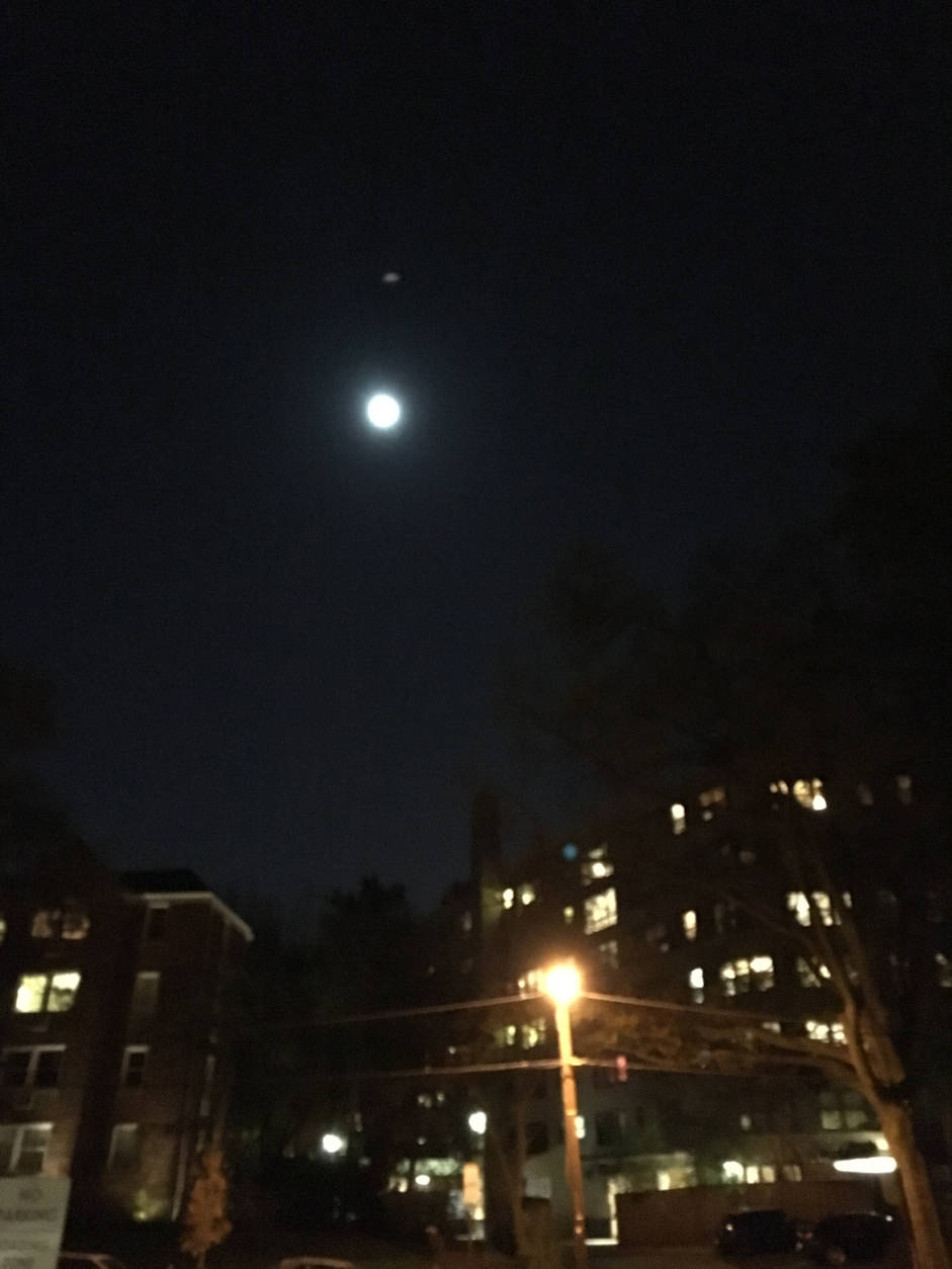 View of the supermoon from the Cathedral Heights neighborhood of Northwest D.C. (WTOP/Hanna Choi)