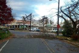 Wind snapped poles in the 10200 block of Frederick Avenue in Kensington, Maryland, causing a power outage on Sunday, Nov. 20, 2016. (Courtesy of MCFRS/Pete Piringer via Twitter)
