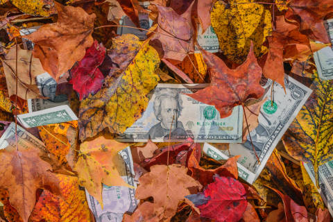 6 fun financial facts about Thanksgiving