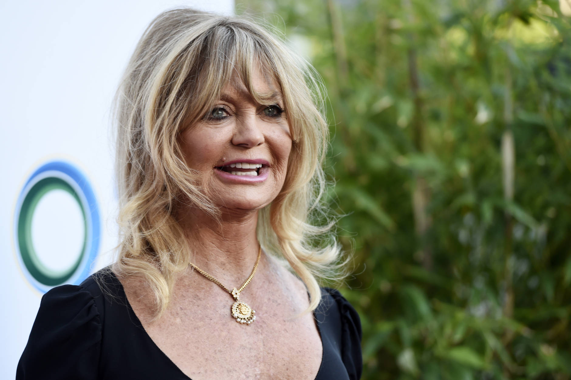 Actress Goldie Hawn poses at "The Champions of Our Planet's Future" annual gala on Thursday, March 24, 2016, in Beverly Hills, Calif. (Photo by Chris Pizzello/Invision/AP)