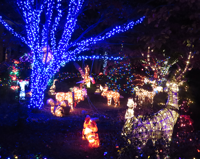 This Vienna house is reminiscent of an enchanted forest. See it between 5:15 to 11:30 p.m. until Jan. 6. at 10203 Lawyers Road. (Courtesy Holly Zell)