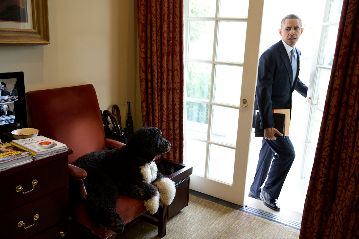 Nov. 6, 2013
"Bo was just hanging out in the Outer Oval Office when the President walked in to begin his day. Each morning, the President always enters through this door rather than the direct outside door to the Oval Office." 
(Official White House Photo by Pete Souza)

This official White House photograph is being made available only for publication by news organizations and/or for personal use printing by the subject(s) of the photograph. The photograph may not be manipulated in any way and may not be used in commercial or political materials, advertisements, emails, products, promotions that in any way suggests approval or endorsement of the President, the First Family, or the White House.