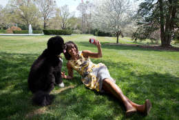 April 11, 2013
"Chuck Kennedy photographed the First Lady as she takes a 'selfie' with Bo, the Obama family dog, for National Geographic." 
(Official White House Photo by Chuck Kennedy)

This official White House photograph is being made available only for publication by news organizations and/or for personal use printing by the subject(s) of the photograph. The photograph may not be manipulated in any way and may not be used in commercial or political materials, advertisements, emails, products, promotions that in any way suggests approval or endorsement of the President, the First Family, or the White House.