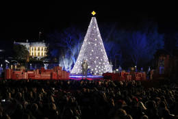 James Taylor sings during the lighting ceremony for the 2016 National Christmas Tree is seen before the lighting ceremony on the Ellipse near the White House, Thursday, Dec. 1, 2016 in Washington. (AP Photo/Alex Brandon)
