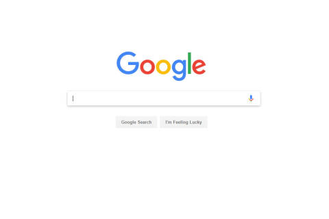 Top Google searches in 2016 (Photos)