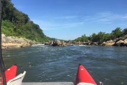 Looking upstream six miles east of Great Falls at the fall line near Fletcher's Cove. (Courtesy of Chesapeake Conservancy/Terrain360)