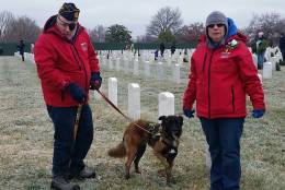 44,000 volunteers visited Arlington National Cemetery to participate in the Wreaths Across America ceremony to honor veterans Saturday, Dec. 17, 2016. (WTOP Kathy Stewart)