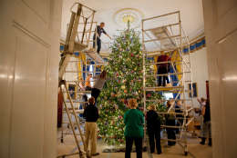 A team of volunteers decorate the official White House Christmas Tree in the Blue Room of the White House, Nov. 30, 2009. (Official White House Photo by Lawrence Jackson)

This official White House photograph is being made available only for publication by news organizations and/or for personal use printing by the subject(s) of the photograph. The photograph may not be manipulated in any way and may not be used in commercial or political materials, advertisements, emails, products, promotions that in any way suggests approval or endorsement of the President, the First Family, or the White House.