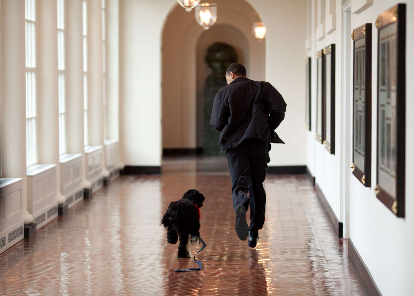 March 15, 2009
ÒThe Obama family was introduced to a prospective family dog at a secret greet on a Sunday. After spending about an hour with him, the family decided he was the one. Here, the dog ran alongside the President in an East Wing hallway. The dog returned to his trainer while the ObamaÕs embarked on their first international trip. I had to keep these photos secret until a few weeks later, when the dog was brought ÔhomeÕ to the White House and introduced to the world as Bo.Ó
(Official White House photo by Pete Souza)

This official White House photograph is being made available only for publication by news organizations and/or for personal use printing by the subject(s) of the photograph. The photograph may not be manipulated in any way and may not be used in commercial or political materials, advertisements, emails, products, promotions that in any way suggests approval or endorsement of the President, the First Family, or the White House.