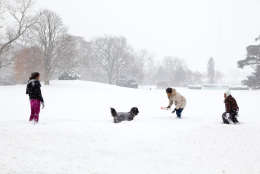 Dec. 19, 2009
ÒThe First Lady, Malia and Sasha were outside in the midst of the snowstorm playing with the family dog, Bo.Ó
(Official White House photo by Pete Souza)

This official White House photograph is being made available only for publication by news organizations and/or for personal use printing by the subject(s) of the photograph. The photograph may not be manipulated in any way and may not be used in commercial or political materials, advertisements, emails, products, promotions that in any way suggests approval or endorsement of the President, the First Family, or the White House.