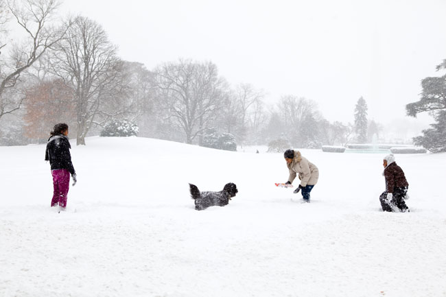 Dec. 19, 2009
ÒThe First Lady, Malia and Sasha were outside in the midst of the snowstorm playing with the family dog, Bo.Ó
(Official White House photo by Pete Souza)

This official White House photograph is being made available only for publication by news organizations and/or for personal use printing by the subject(s) of the photograph. The photograph may not be manipulated in any way and may not be used in commercial or political materials, advertisements, emails, products, promotions that in any way suggests approval or endorsement of the President, the First Family, or the White House.