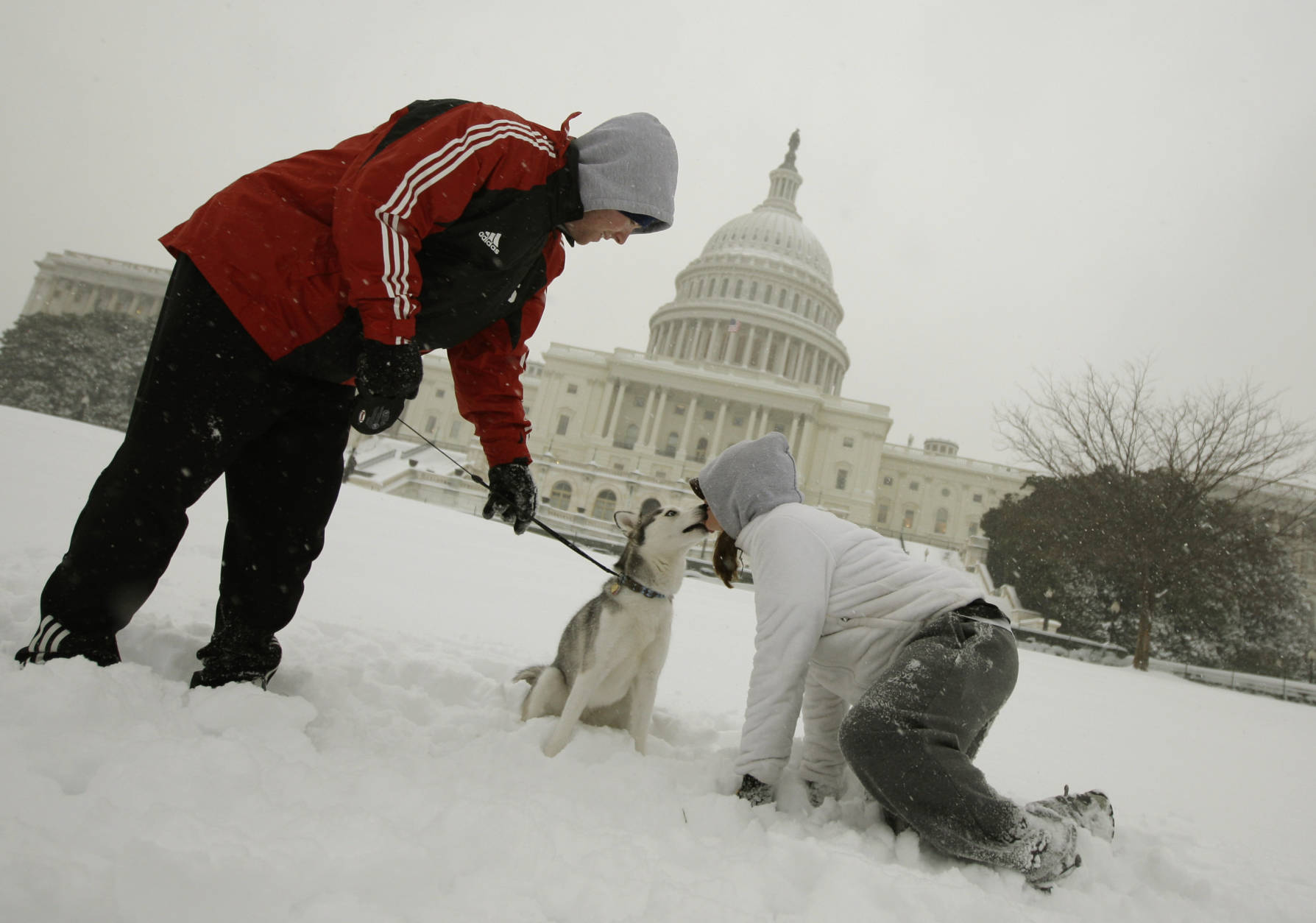 "Tiki" a Siberian Husky, gets a kiss from Danielle Fiedler, with Ryan Tronovitch, left,  as they play in the snow on the west front of the Capitol in Washington, Saturday, Dec. 19, 2009. (AP Photo/Alex Brandon)