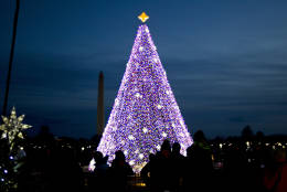 Visitors look at the National Christmas Tree with the Washington Monument in the background on the Ellipse near the White House, in Washington, Saturday, Dec. 3, 2016. ( AP Photo/Jose Luis Magana)