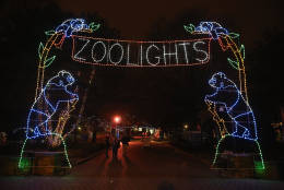 WASHINGTON, DC - DECEMBER 02:  The Smithsonian National Zoological Park's entrance is decorated with holiday lights during the ZooLights celebration December 2, 2013 in Washington, DC.  (Photo by Chip Somodevilla/Getty Images)