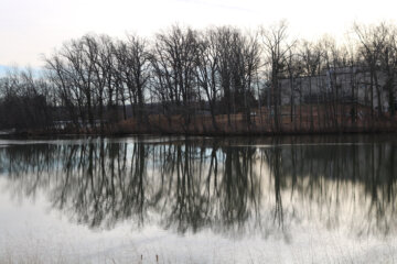 Dalecarlia Reservoir