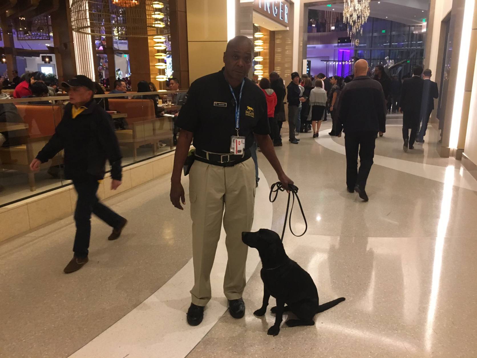 Security dog Kate kept things safe at the opening night of the MGM National Harbor. (WTOP/Mike Murillo)