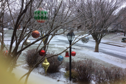 Ornaments hang from an icy tree in a frost-covered front yard Saturday morning in Olney, Md. (Courtesy Susan Temor)