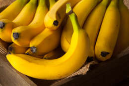 Raw Organic Bunch of Bananas Ready to Eat