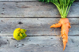 Top flat lay view of trendy ugly organic carrot and lemon from home garden on barn wood table, Australian grown.