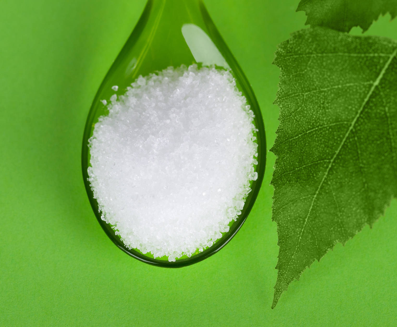 Xylitol birch sugar on plastic spoon with birch leaves on green background. White granulated sugar alcohol substitute used as sweetener that taste like table sugar, extracted from wood of birch trees.