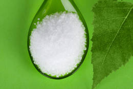 Xylitol birch sugar on plastic spoon with birch leaves on green background. White granulated sugar alcohol substitute used as sweetener that taste like table sugar, extracted from wood of birch trees.