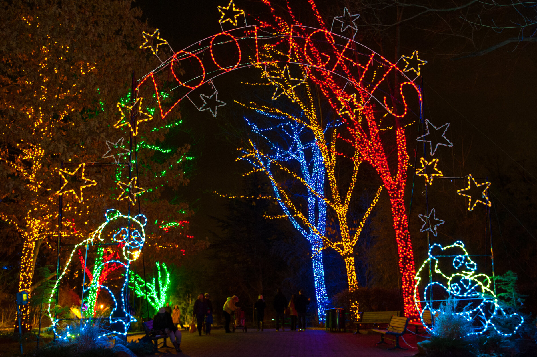 <p>Smithsonian is rolling out the <strong>ZooLights Express</strong>.</p>
<p>The ZooLights Express truck will visit one D.C., ward on the following Friday and Saturday nights from 6 p.m. to 8 p.m. The truck already visited Wards 1, 2, 3 and 4. Below are the remaining dates.</p>
<p>Friday, Dec. 11 — Ward 5<br />
Saturday, Dec. 12 — Ward 6<br />
Friday, Dec. 18 — Ward 7<br />
Saturday, Dec. 19 — Ward 8</p>
<p>For more information, <a href="https://wtop.com/christmas-news/2020/11/zoolights-2020-faq-what-you-need-to-know/" target="_blank" rel="noopener">visit WTOP&#8217;s ZooLights guide</a>.</p>
