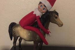  Our Elf "Christian" has been busy, says @Beantbear
