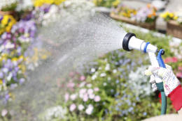 Gardening watering, garden hose, flowers, spring, yardwork, gifts for gardeners