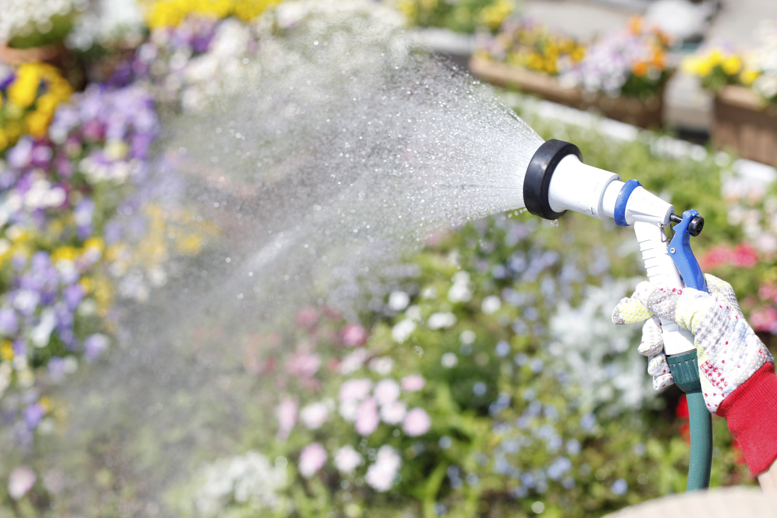 Gardening watering, garden hose, flowers, spring, yardwork, gifts for gardeners