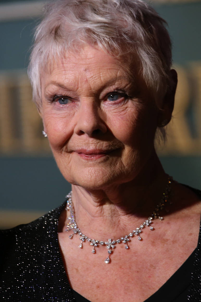 Dame Judi Dench poses for photographers upon arrival at the Evening Standard Theatre Awards in London, Sunday, Nov. 22, 2015. (Photo by Joel Ryan/Invision/AP)