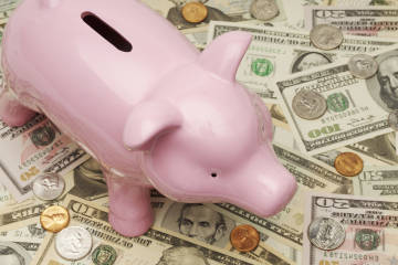 Piggy Bank on Money