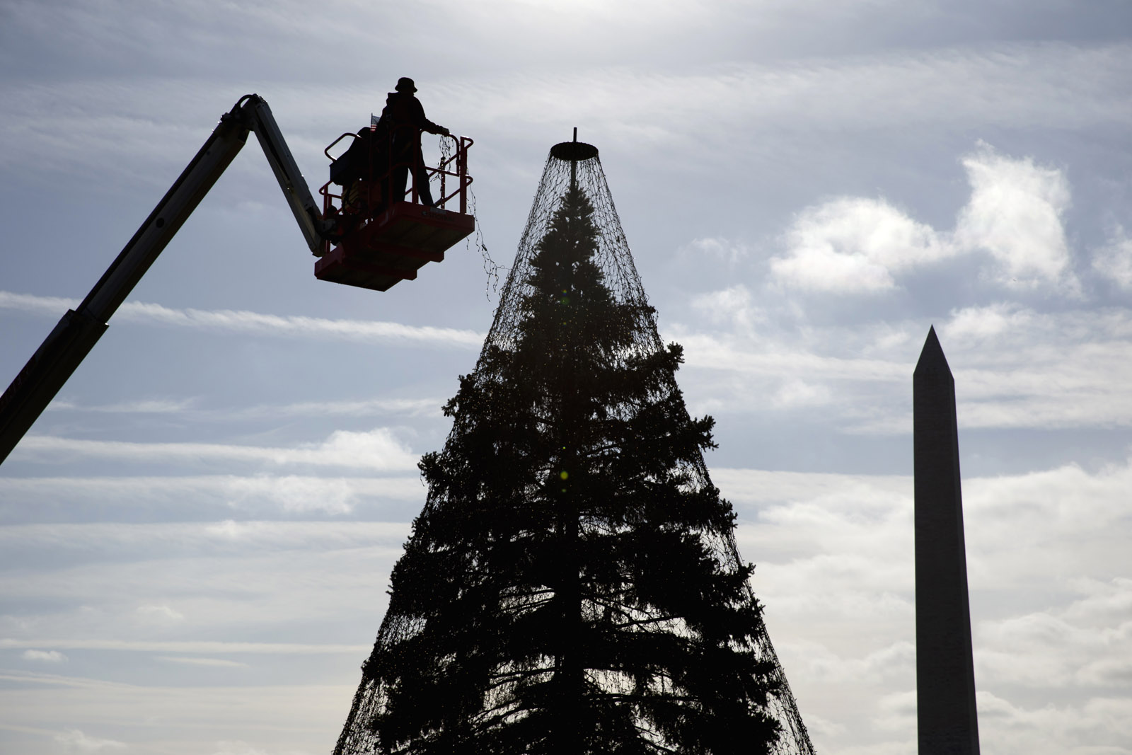 With the Washington Monument at right, Hargrove technicians install lights on the National Christmas Tree, a large evergreen tree in the northeast quadrant of The Ellipse near the White House in this 2015 file photo.  (AP File Photo/Carolyn Kaster)