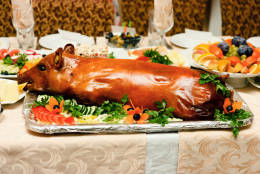 Roast suckling pig decorated verdure on the festive table