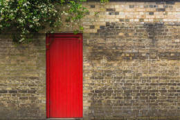 Red door on brick wall with vegetation