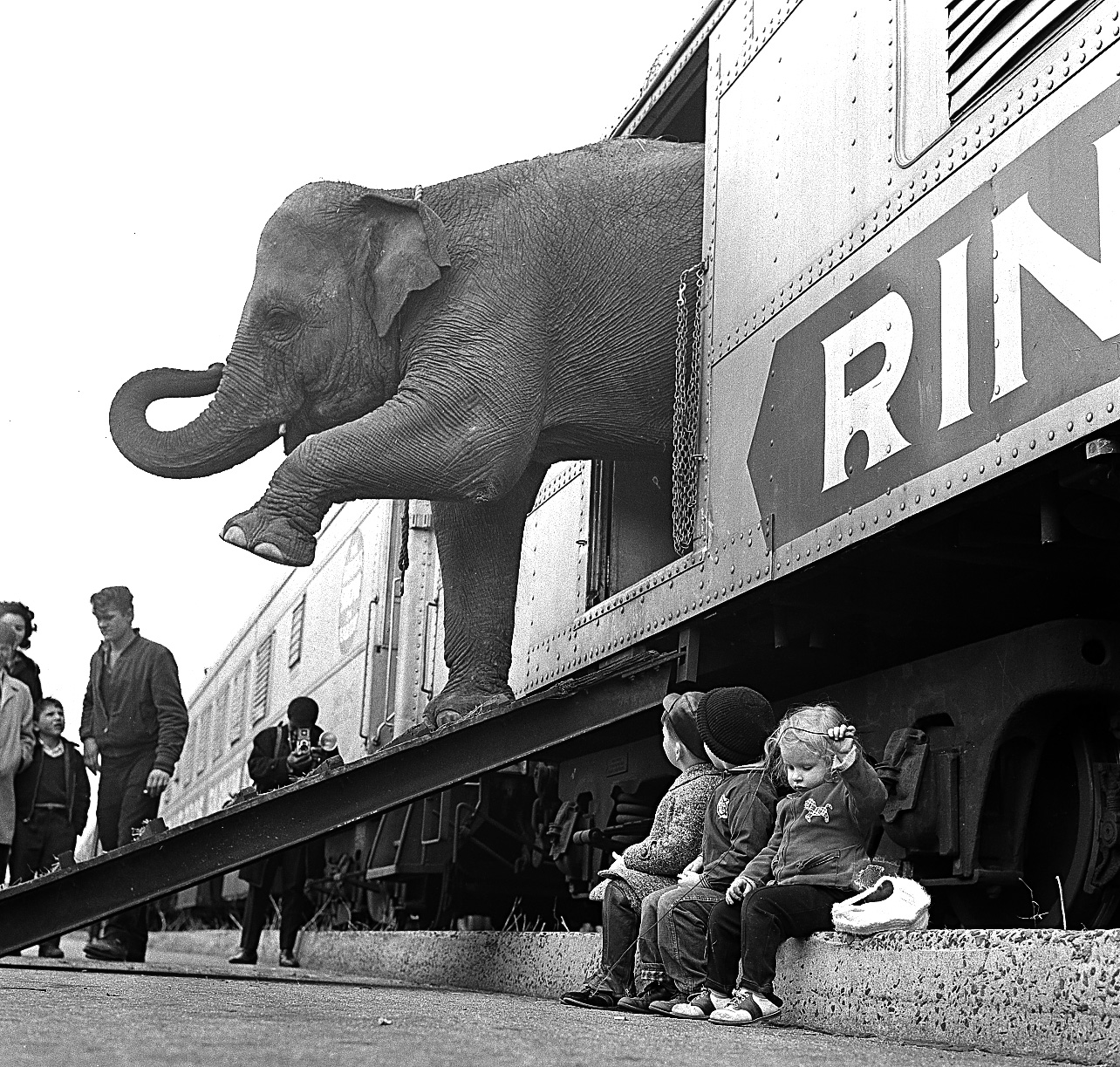 A Ringling Brothers Circus elephant walks out of a train car as young children watch in the Bronx railroad yard in New York City, April 1, 1963.  The circus opens in Madison Square Garden April 3 for a 40-day engagement.  (AP Photo)