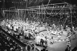 The spectacular act, of the Ringling Bros. and Barnum and Bailey Circus is seen as the circus opens in Madison Square Garden in New York on April 5, 1966. (AP Photo/John Lent)