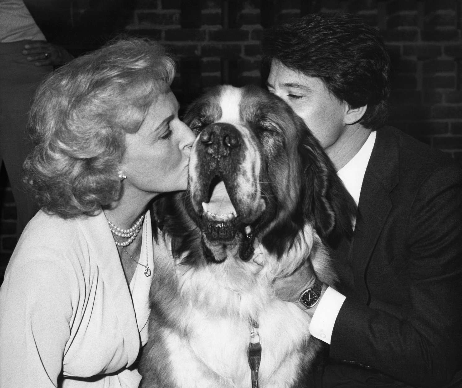 Betty White and Anson Williams don?t seem to faze Buckeye, a St. Bernard, during an awards ceremony during which Williams was honored by the Los Angeles Society for the Prevention of Cruelty to Animals as a friend and lover of animals. Ms. White presented a humanitarian plaque to Williams at the event, which was held in Hollywood, California, Friday, May 1, 1982. (AP Photo/Marc Karody)