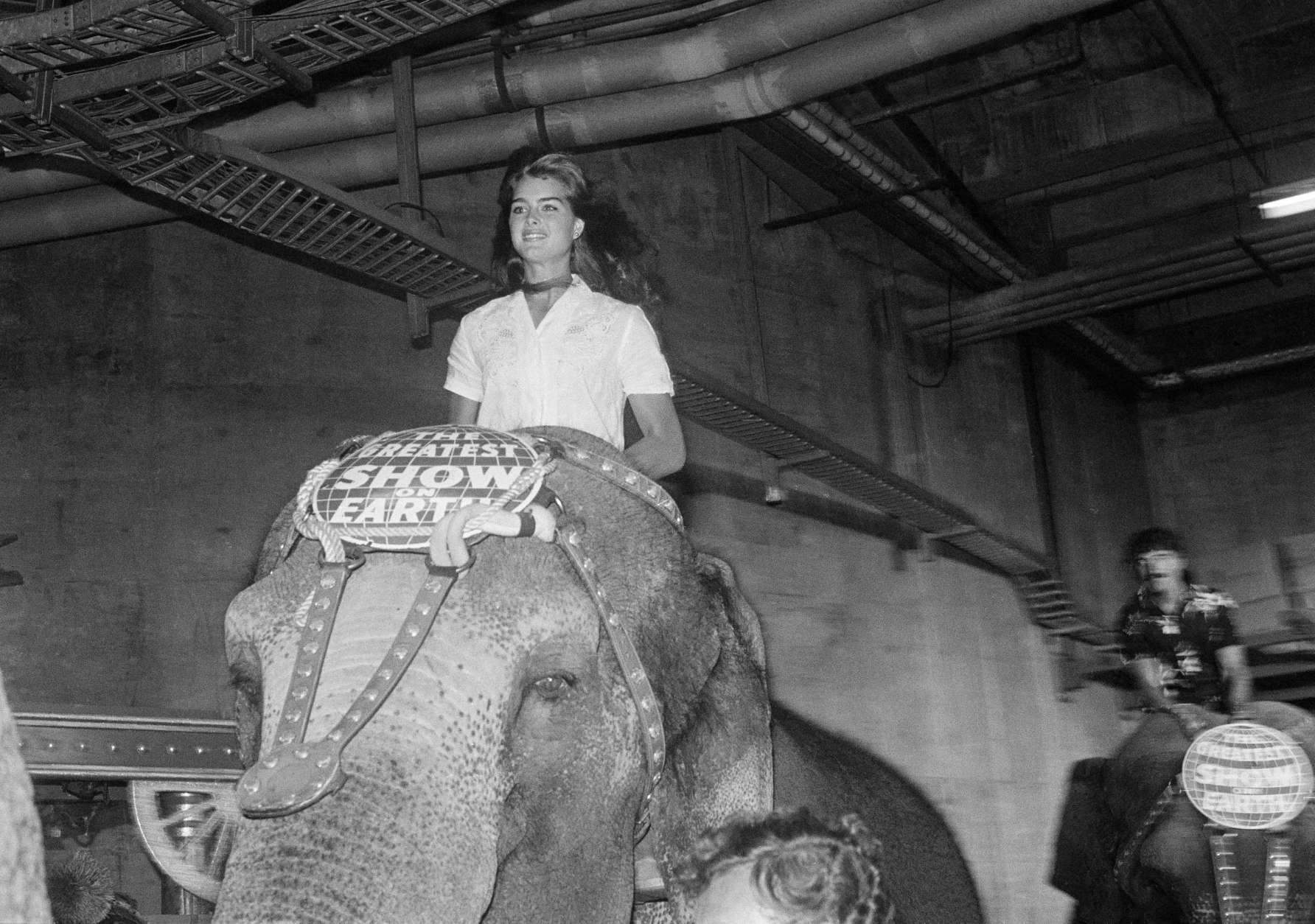 Actress and model Brooke Shield sits tall atop an elephant as she participates in the Galaxy of Stars Gala for the benefit of Vista Del Mare Child Care Services, during the opening of the Ringling Brothers and Barnum and Bailey Circus on July 21,1982 in Los Angeles. (AP Photo/ Nick Ut)