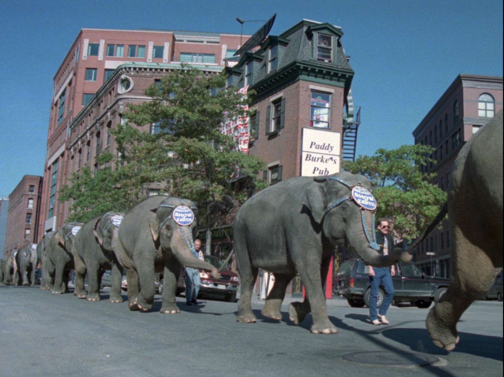 Elephants from the Ringling Bros. Barnum &amp; Bailey circus take a stroll through downtown Boston on their way to lunch at Boston's Fanueil Hall Marketplace, Wednesday, Oct. 8, 1997.  The circus is scheduled to perform in Boston from Oct. 8 through Oct. 19, 1997.  (AP Photo/Angela Rowlings)