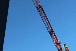 Protesters climbed a crane in downtown D.C. (Courtesy Bill Shore)