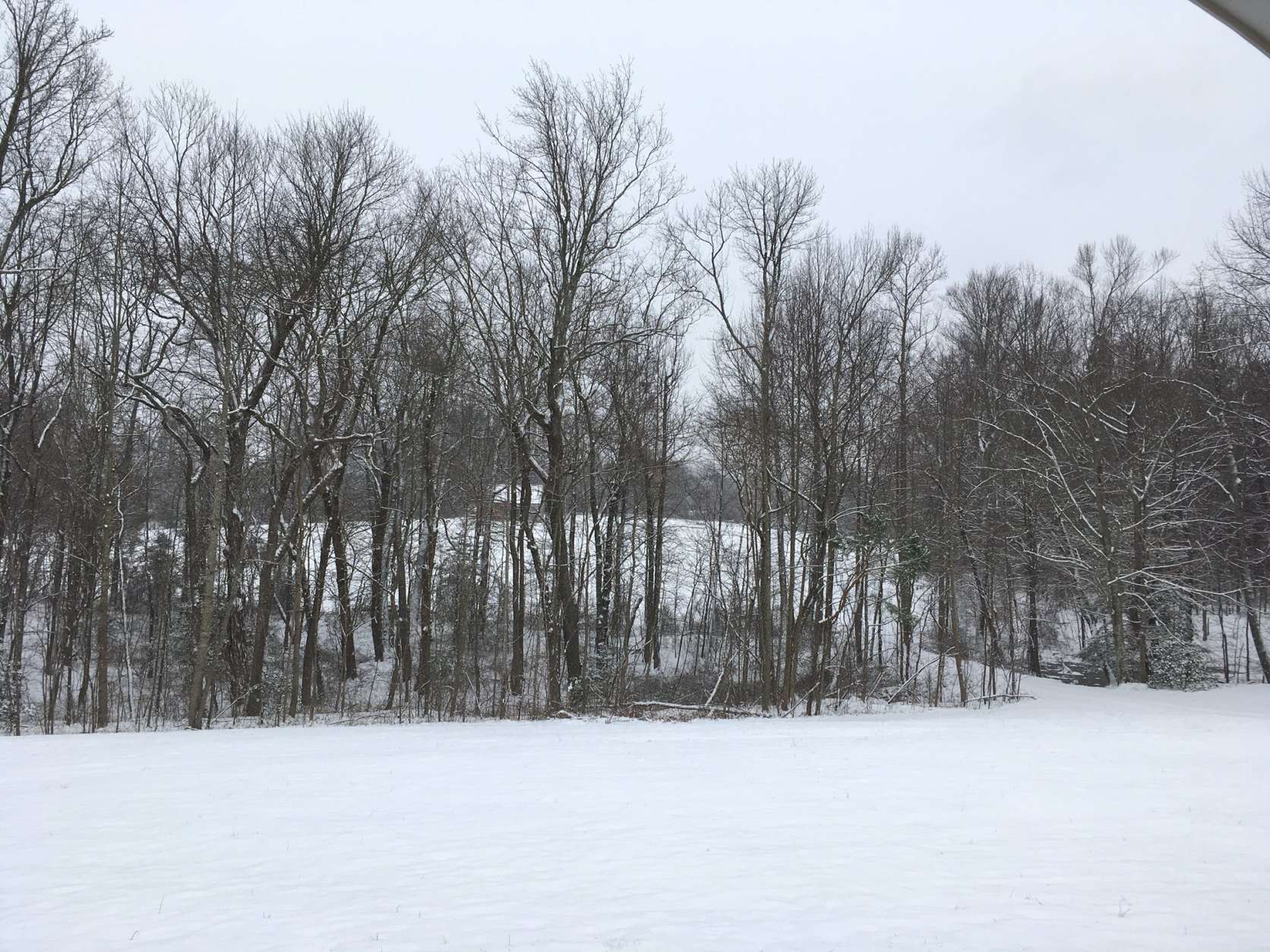 Four and a half inches of snow coated the ground by 11:30 a.m. in Calvert County, Md. (Courtesy Jim White)