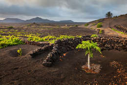 The beauty of the island of Lanzarote, Yaiza, Lanzarote, Canary Islands, Spain; Shutterstock ID 469916138