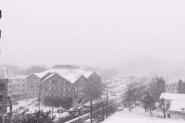 Snowfall captured in Clarendon. (Courtesy Kelly Lyles on Twitter)